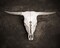 Sepia Cattle Skull Poster Print by Brooke T. Ryan - Item # VARPDXR1222D